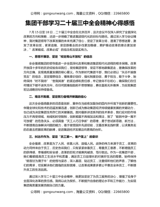 集团干部学习二十届三中全会精神心得感悟