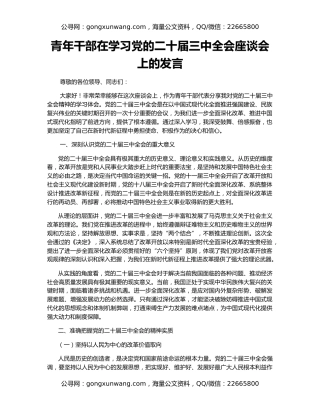 青年干部在学习党的二十届三中全会座谈会上的发言