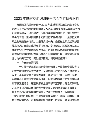 2021年基层党组织组织生活会剖析检视材料