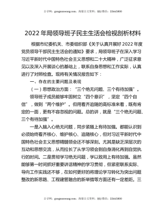 2022年局领导班子民主生活会检视剖析材料