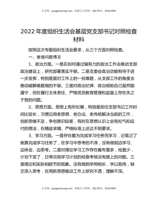 2022年度组织生活会基层党支部书记对照检查材料