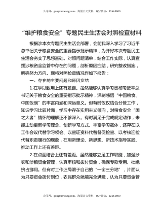 “维护粮食安全”专题民主生活会对照检查材料