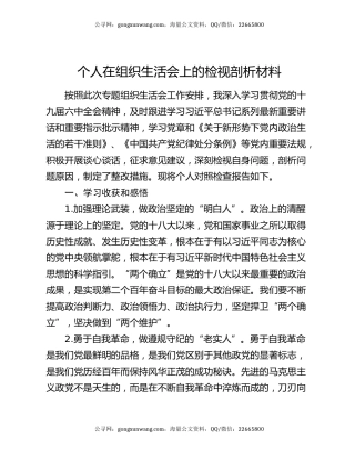 个人在组织生活会上的检视剖析材料
