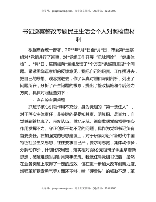 书记巡察整改专题民主生活会个人对照检查材料