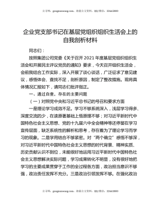 企业党支部书记在基层党组织组织生活会上的自我剖析材料