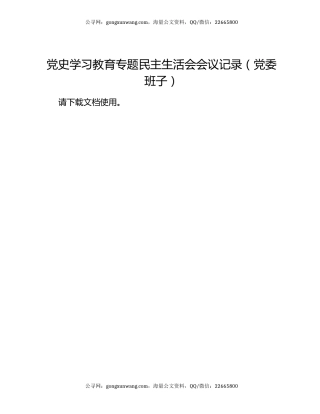 党史学习教育专题民主生活会会议记录（党委班子）