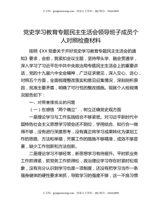 党史学习教育专题民主生活会领导班子成员个人对照检查材料