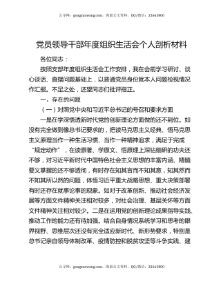 党员领导干部年度组织生活会个人剖析材料