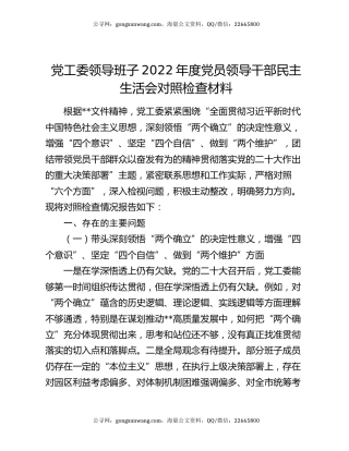 党工委领导班子2022年度党员领导干部民主生活会对照检查材料