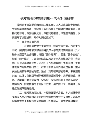党支部书记专题组织生活会对照检查