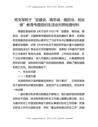 党支部班子“迎盛会、铸忠诚、强担当、创业绩”教育专题组织生活会对照检查材料