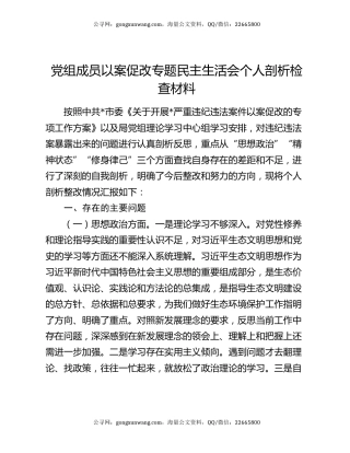 党组成员以案促改专题民主生活会个人剖析检查材料
