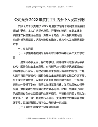公司党委2022年度民主生活会个人发言提纲