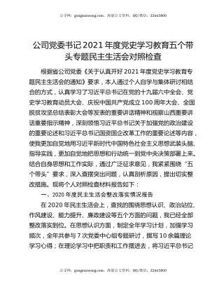 公司党委书记2021年度党史学习教育五个带头专题民主生活会对照检查