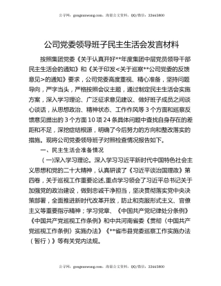 公司党委领导班子民主生活会发言材料