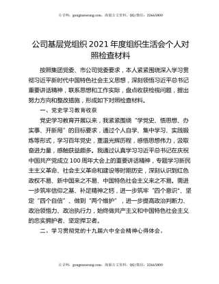 公司基层党组织2021年度组织生活会个人对照检查材料