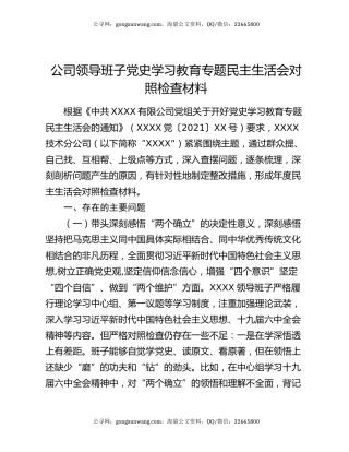 公司领导班子党史学习教育专题民主生活会对照检查材料