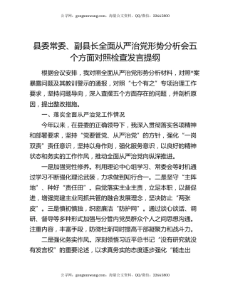 县委常委、副县长全面从严治党形势分析会五个方面对照检查发言提纲