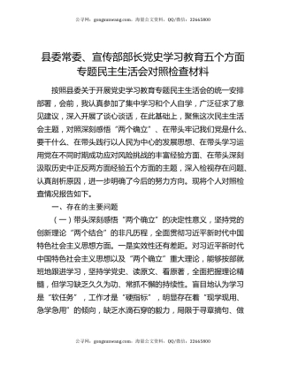 县委常委、宣传部部长党史学习教育五个方面专题民主生活会对照检查材料