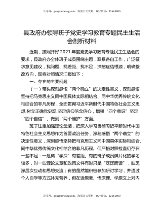 县政府办领导班子党史学习教育专题民主生活会剖析材料