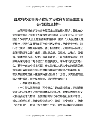 县政府办领导班子党史学习教育专题民主生活会对照检查材料