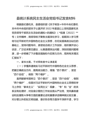 县统计系统民主生活会党组书记发言材料