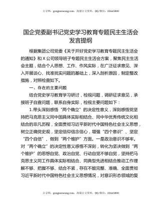 国企党委副书记党史学习教育专题民主生活会发言提纲