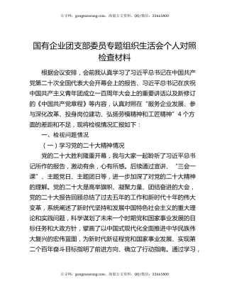 国有企业团支部委员专题组织生活会个人对照检查材料
