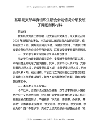 基层党支部年度组织生活会会前情况介绍及班子问题剖析材料