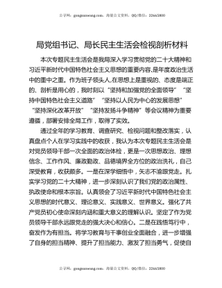局党组书记、局长民主生活会检视剖析材料