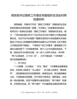 局党组书记狠抓工作落实专题组织生活会对照检查材料