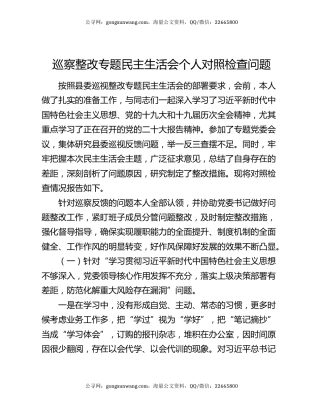 巡察整改专题民主生活会个人对照检查问题