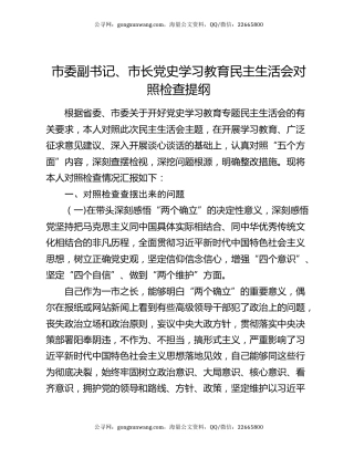 市委副书记、市长党史学习教育民主生活会对照检查提纲