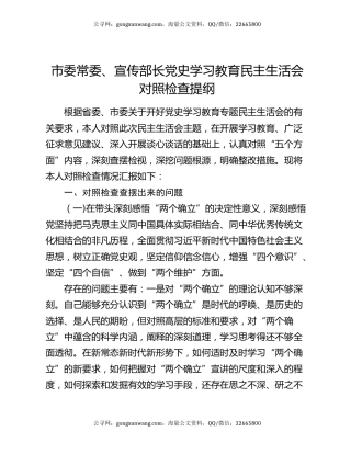 市委常委、宣传部长党史学习教育民主生活会对照检查提纲