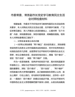 市委常委、常务副市长党史学习教育民主生活会对照检查材料