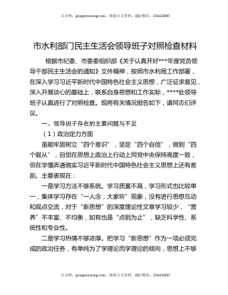 市水利部门民主生活会领导班子对照检查材料