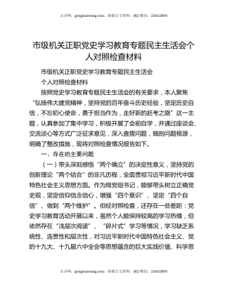 市级机关正职党史学习教育专题民主生活会个人对照检查材料