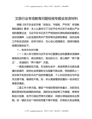文旅行业专项教育问题检视专题会发言材料
