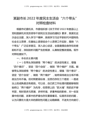 某副市长2022年度民主生活会“六个带头”对照检查材料
