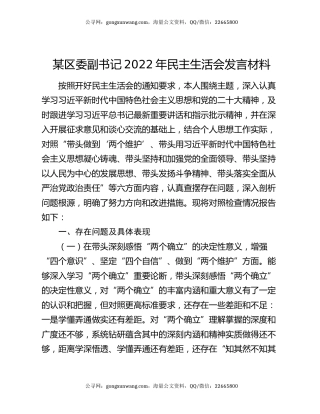 某区委副书记2022年民主生活会发言材料