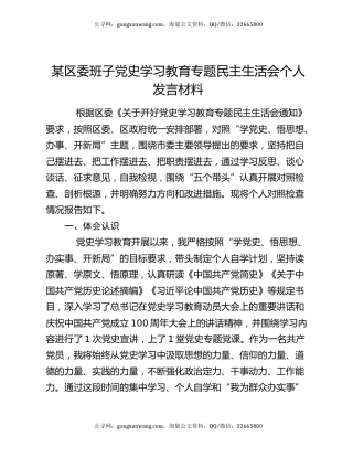 某区委班子党史学习教育专题民主生活会个人发言材料