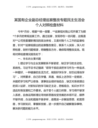 某国有企业副总经理巡察整改专题民主生活会个人对照检查材料