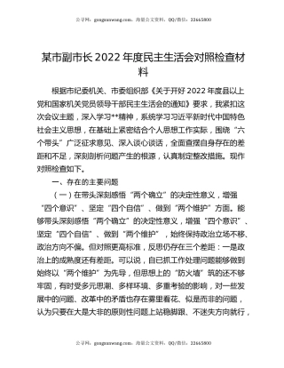 某市副市长2022年度民主生活会对照检查材料
