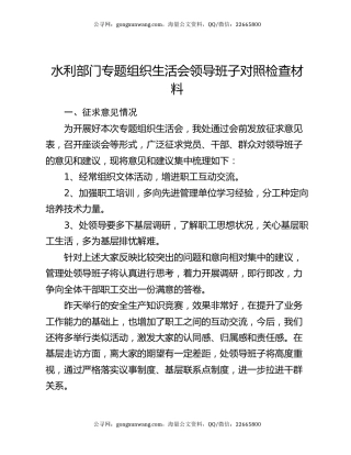 水利部门专题组织生活会领导班子对照检查材料