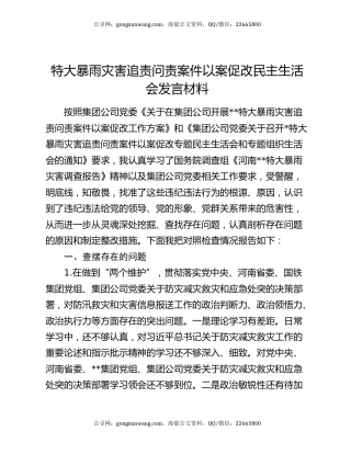 特大暴雨灾害追责问责案件以案促改民主生活会发言材料