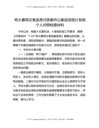 特大暴雨灾害追责问责案件以案促改统计系统个人对照检查材料