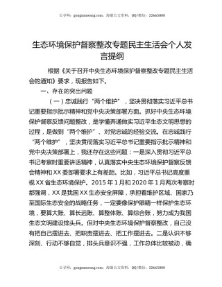 生态环境保护督察整改专题民主生活会个人发言提纲