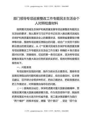 部门领导专项巡察整改工作专题民主生活会个人对照检查材料