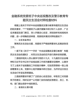 金融系统党委班子中央巡视整改及警示教育专题民主生活会对照检查材料