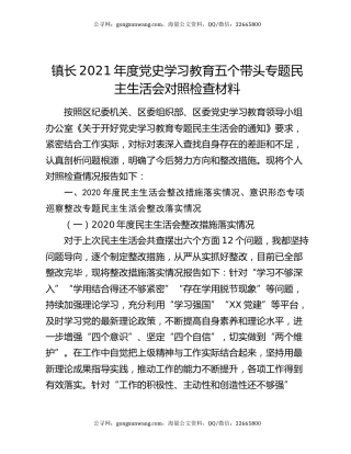 镇长2021年度党史学习教育五个带头专题民主生活会对照检查材料